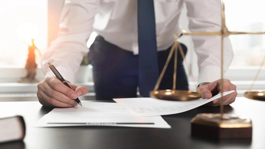 Law Essay Writing